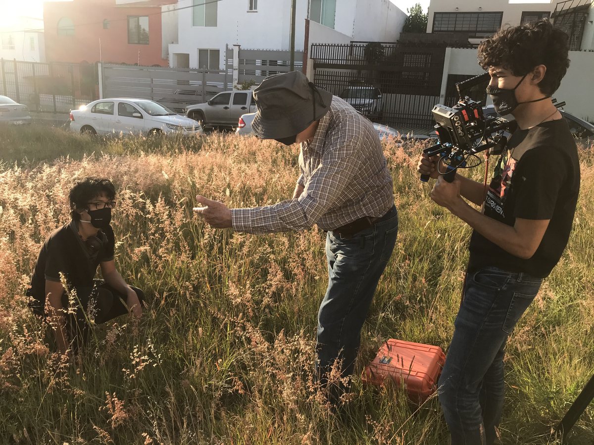 Asesorías fotográficas para tesis