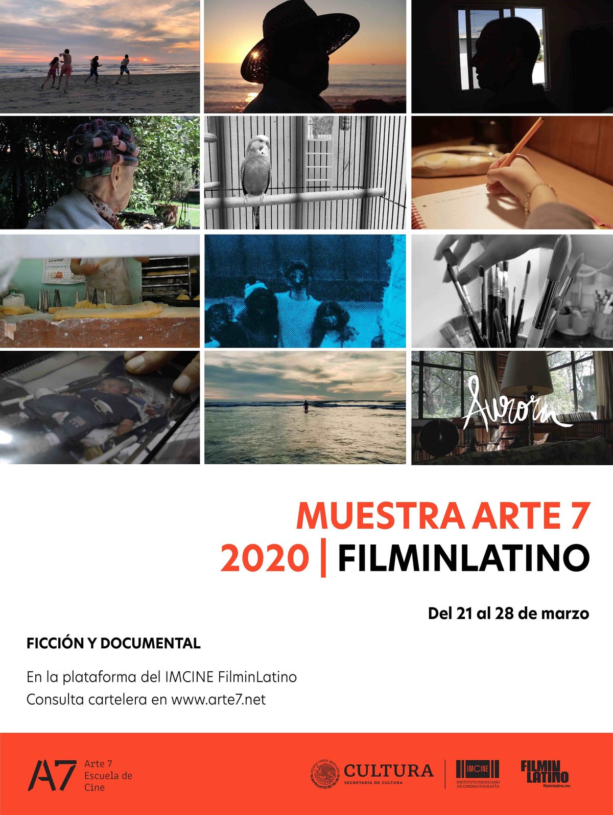MUESTRA ARTE7 2020 | FILMIN LATINO